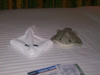 /album/photo-gallery/a1st-cruse-freedom-of-the-seas-061-jpg/